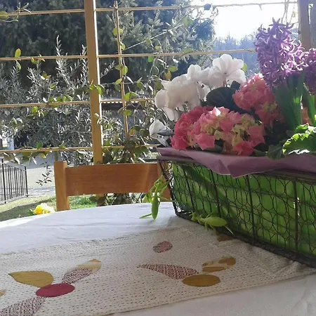 Bed and Breakfast Lori