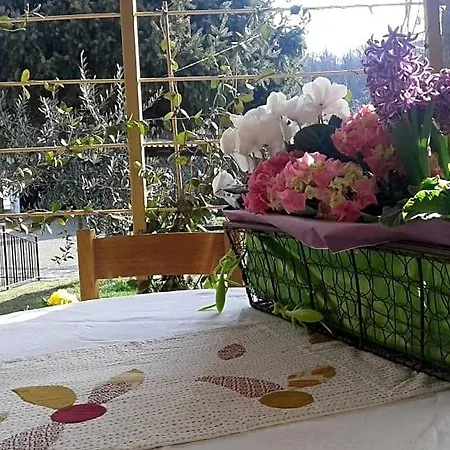 Lori Bed & Breakfast 4*